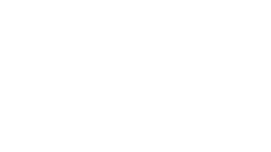Southern Trial Lawyers Association